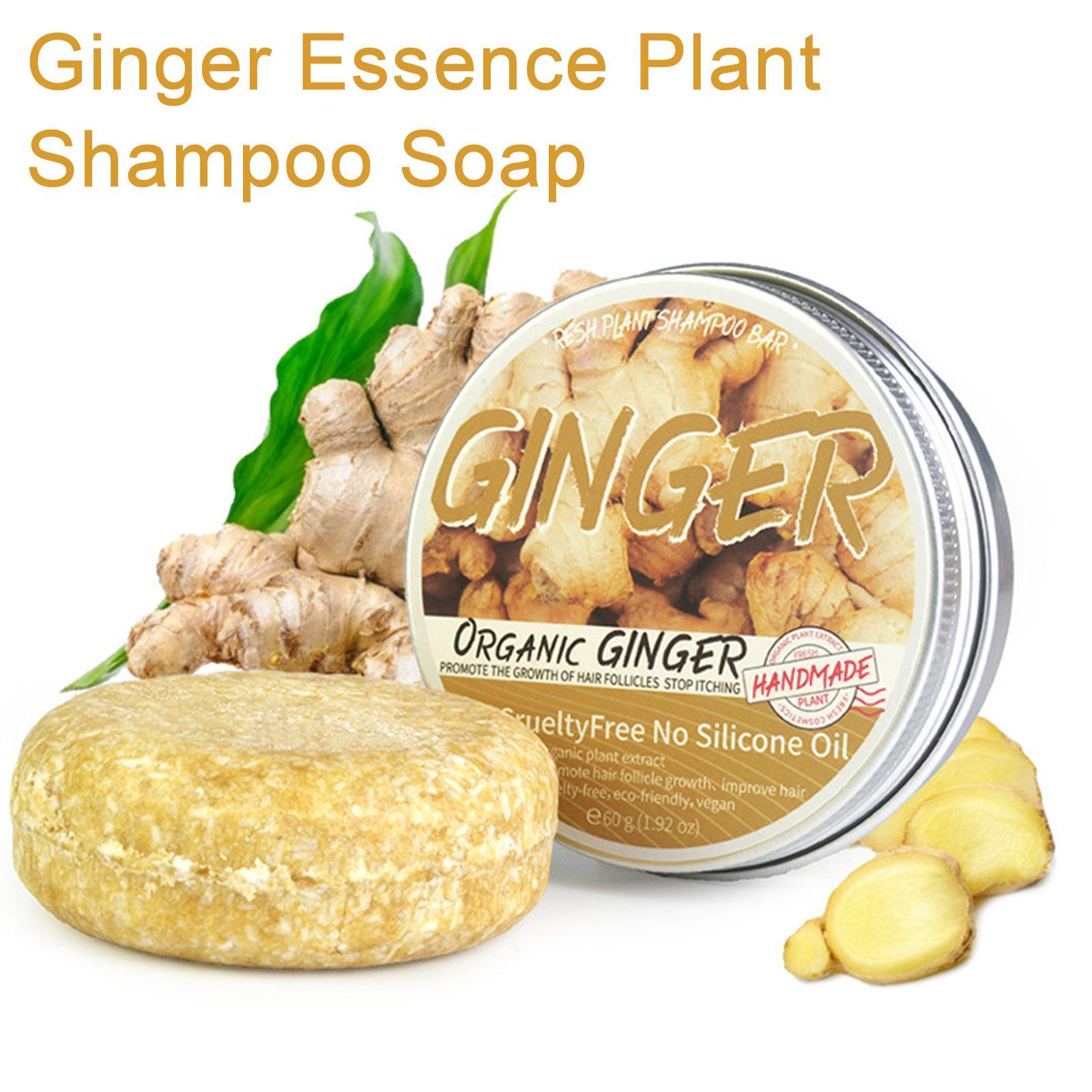 Hair Care Organic - Zenzero Polygonum sapone Shampoo sapone lavorato