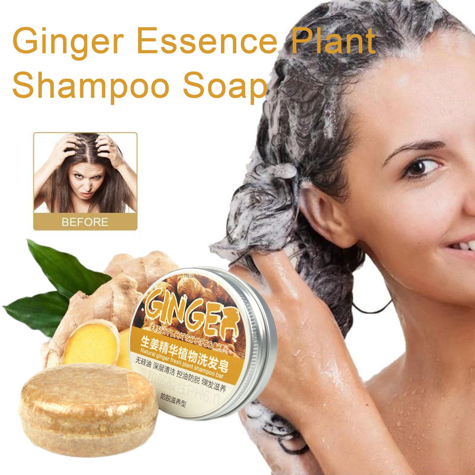 Zenzero Polygonum sapone Shamp - Hair Care Organic recensione e prezzo